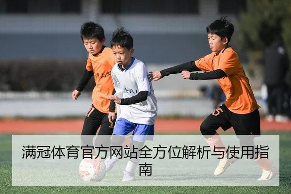 满冠体育官方网站全方位解析与使用指南